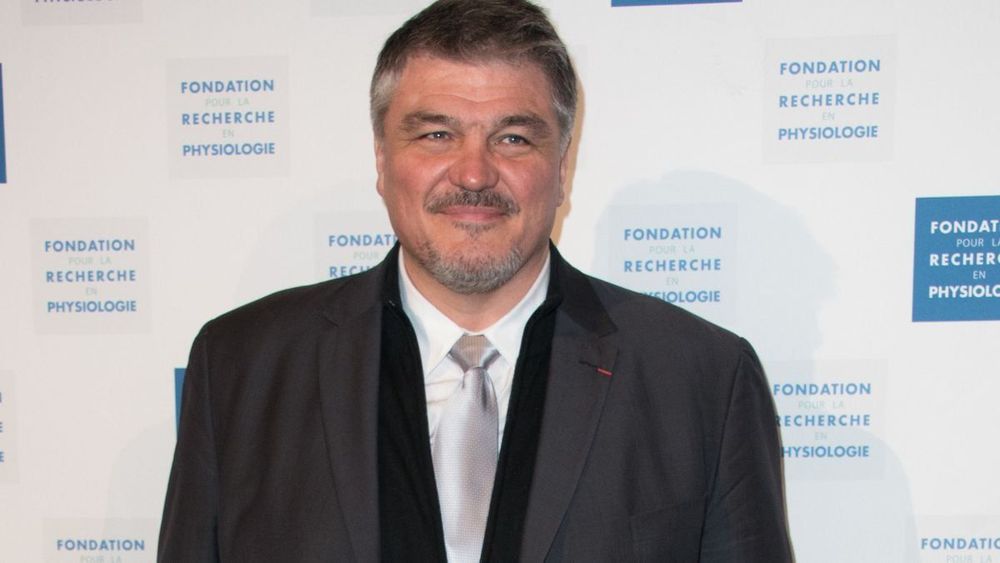David Douillet prêt à retourner en politique ? "Il faut arrêter de cuisiner avec des restes"