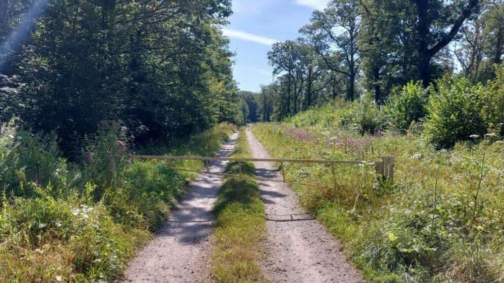 Disparition de Lina : une zone boisée dans le collimateur des enquêteurs, tous les derniers détails de l’affaire