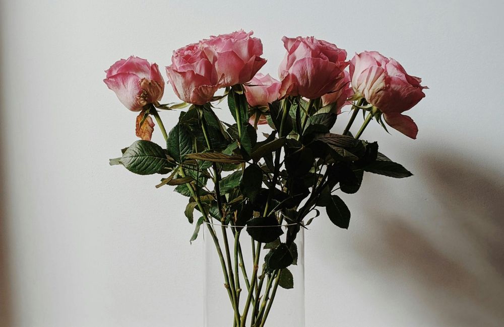 Pourquoi faut-il arrêter de jeter votre bouquet de Saint-Valentin lorsqu'il est fané ?