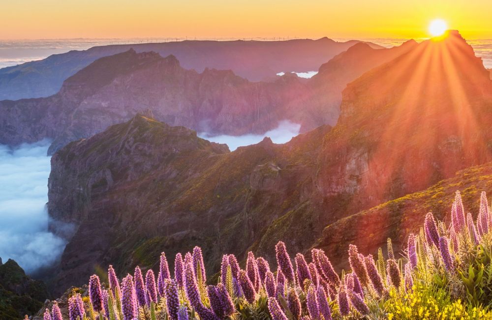 Cap sur Madère : le Hawaï d'Europe, paradis vert entre montagnes et océan
