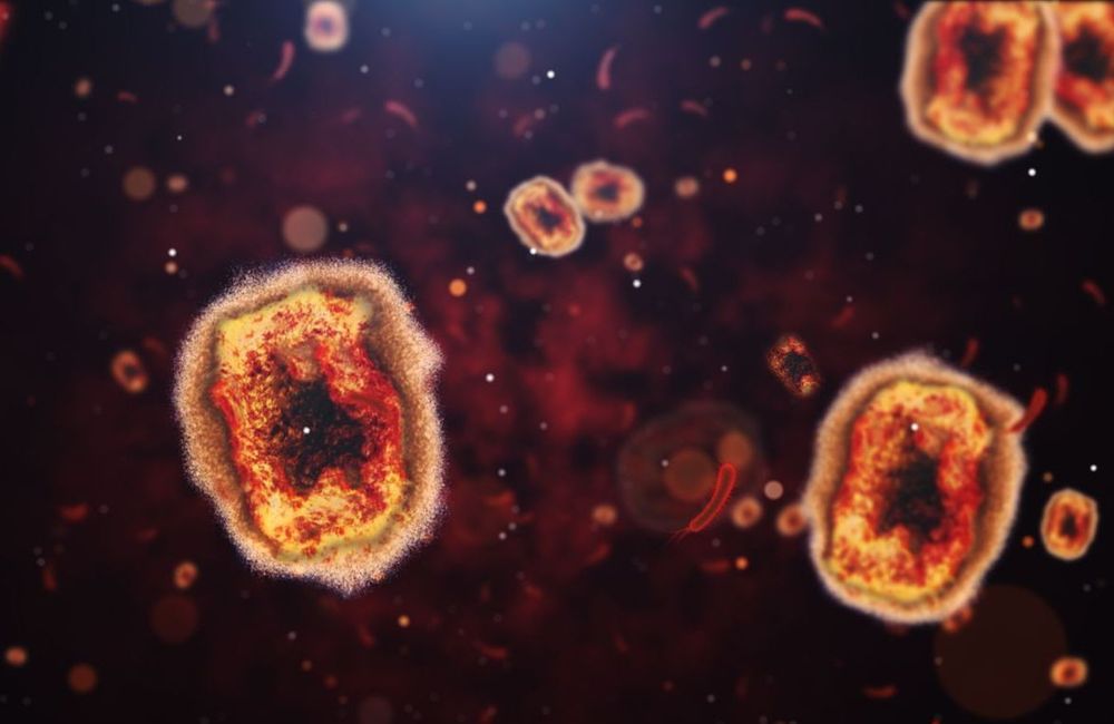 Alerte internationale, premier cas en Europe... Ce que l’on sait de l’épidémie de mpox et de sa dangerosité
