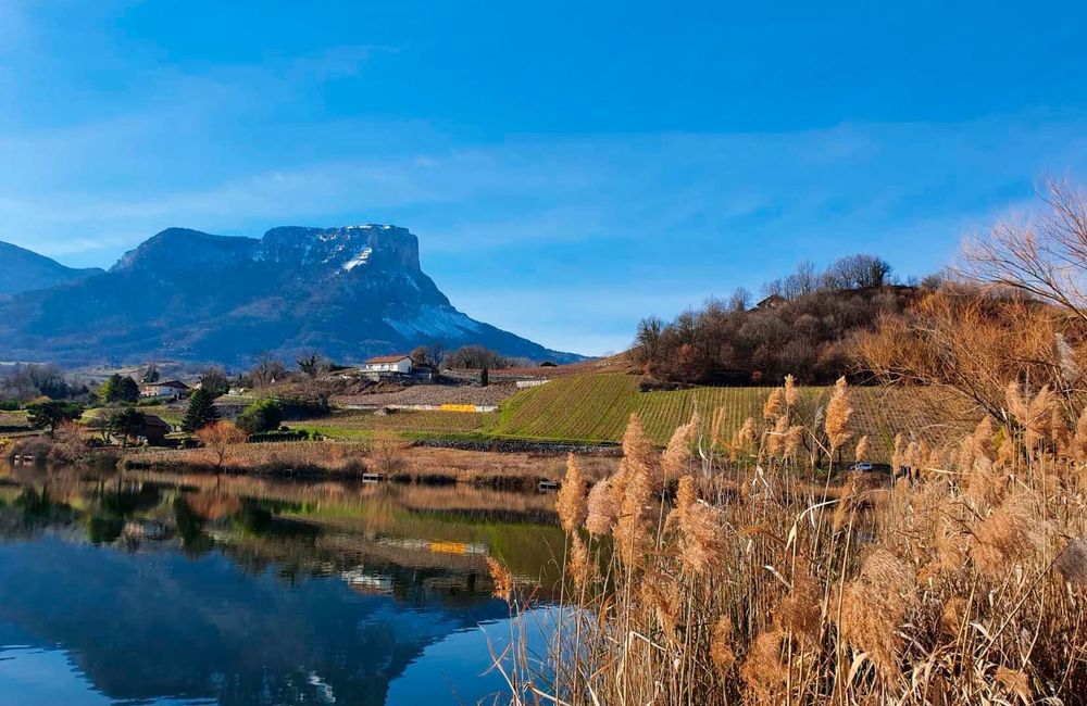 Balades, camping... nos adresses pour une séjour écolo en Rhône-Alpes-Auvergne