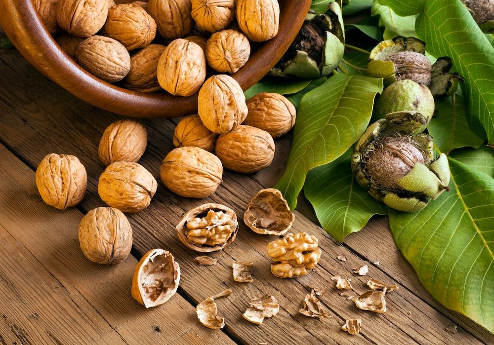 Quels sont les aliments qui renforcent le microbiote ?