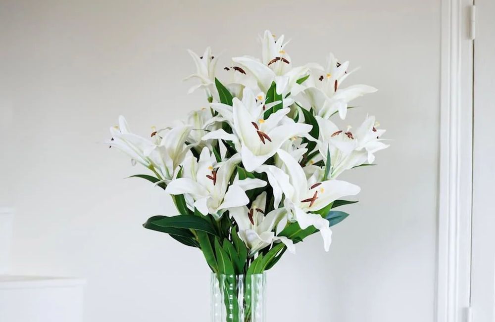 Lys : toutes les astuces des fleuristes pour prolonger leur floraison