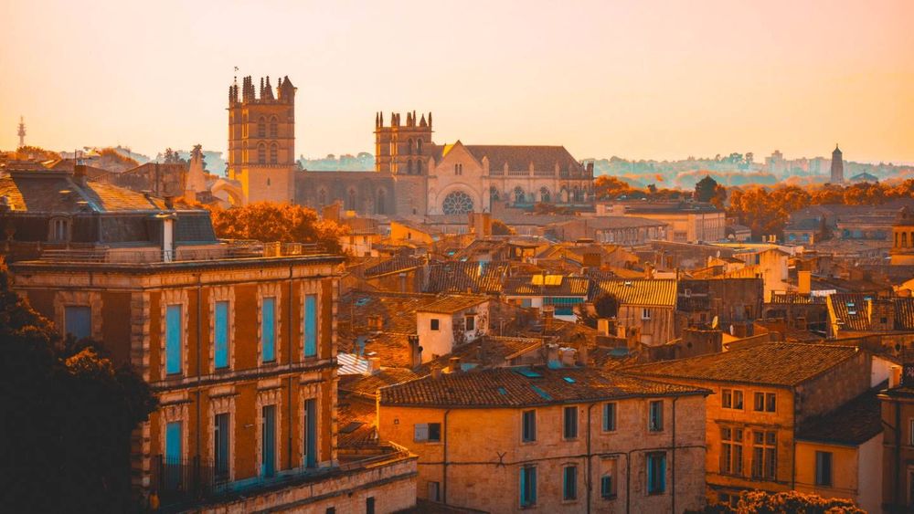 Immobilier à Montpellier : analyse des prix à l'achat et à la location en janvier 2025