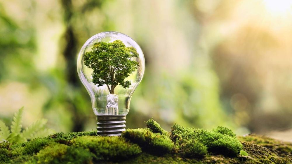Prix, label... Les offres d'électricité et de gaz vertes, greenwashing ou vraiment écolos ?