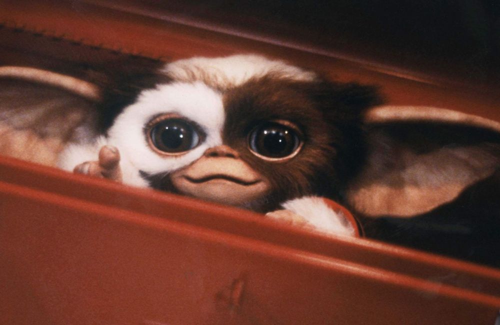 « Gremlins » : la saga de Steven Spielberg bientôt de retour ?
