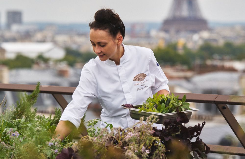 Best of food de la semaine : découvrir Le Camélia au printemps, savourer le Pays Basque, des bouchées à croquer