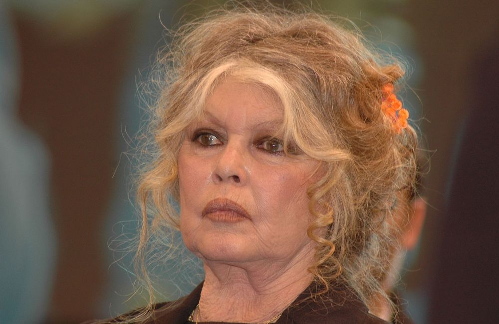 Brigitte Bardot : qui sont Théa et Anna Charrier, ses petites filles ?