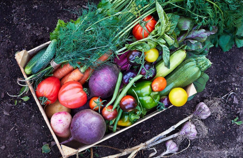 5 légumes que vous ne devriez pas conserver au réfrigérateur