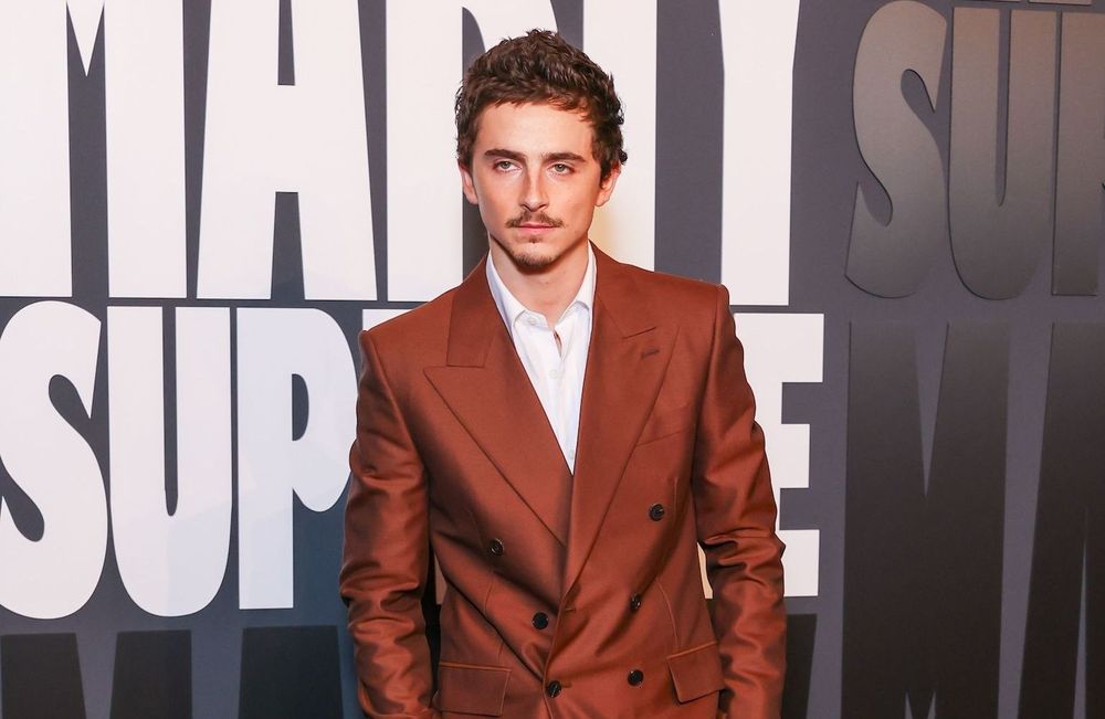 Timothée Chalamet moqué pour son « franglais » ? ll se confie avec humour