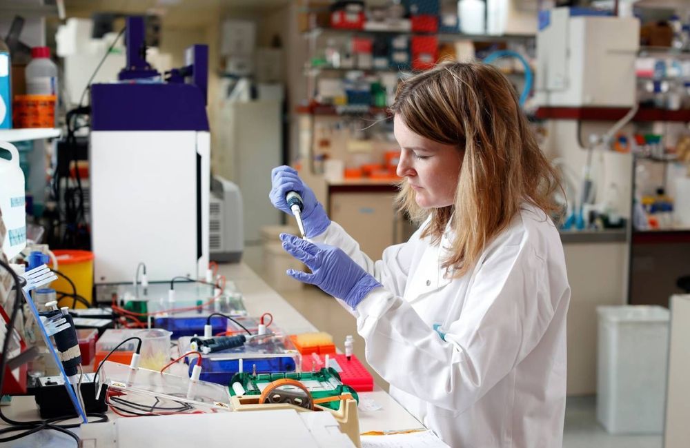 « Les femmes sont moins bonnes en mathématiques » : les étudiantes en sciences confrontées à une résurgence des biais sexistes