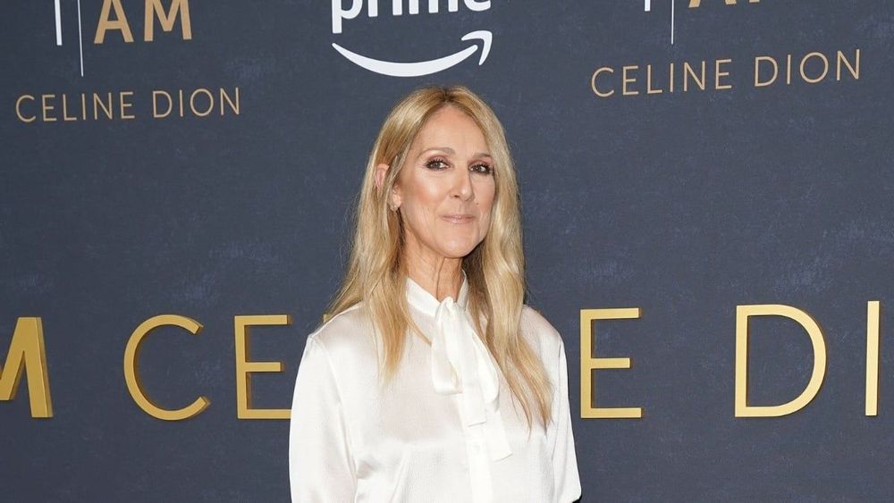 Céline Dion moquée après sa prise de position osée : "Depuis que l'homme est descendu du singe…"