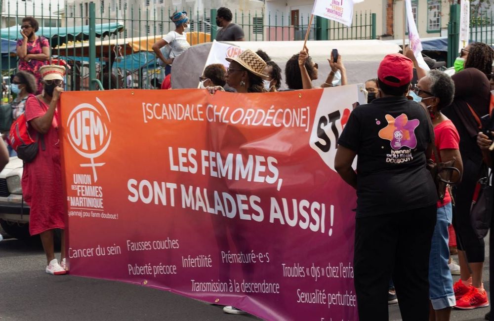Pourquoi le chlordécone, des décennies après son interdiction, continue de nuire à la fertilité des femmes