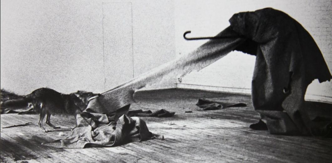 «I like America and America likes me»: Joseph Beuys se fait enfermer avec un coyote sauvage
