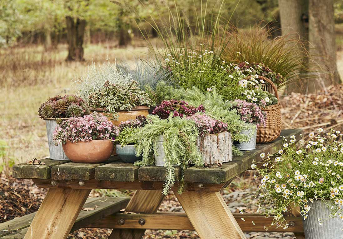 En automne, 12 gestes pour préparer son jardin pour le printemps