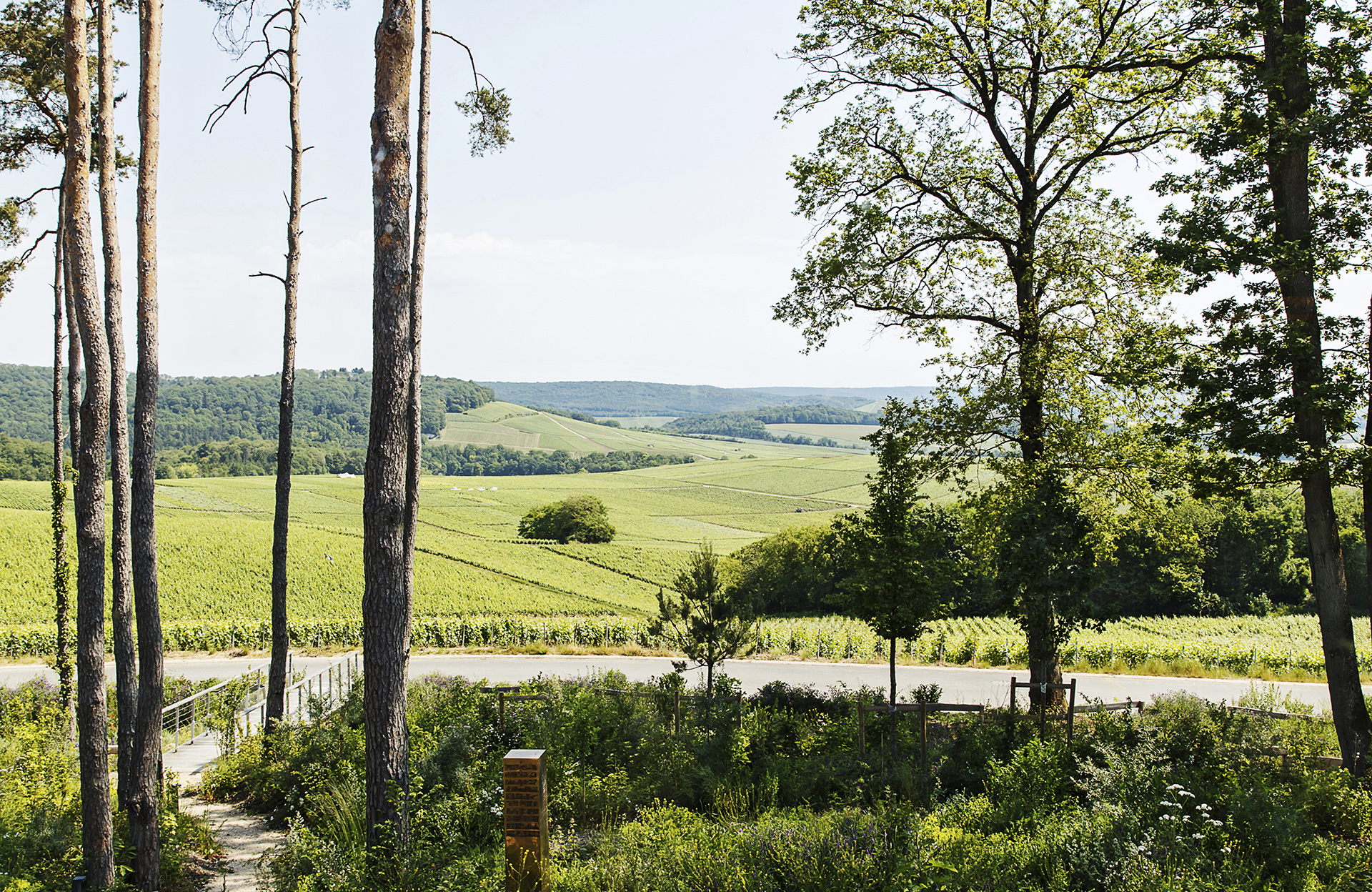 L’Horisium, la table « brut nature » de l’hôtel Loisium