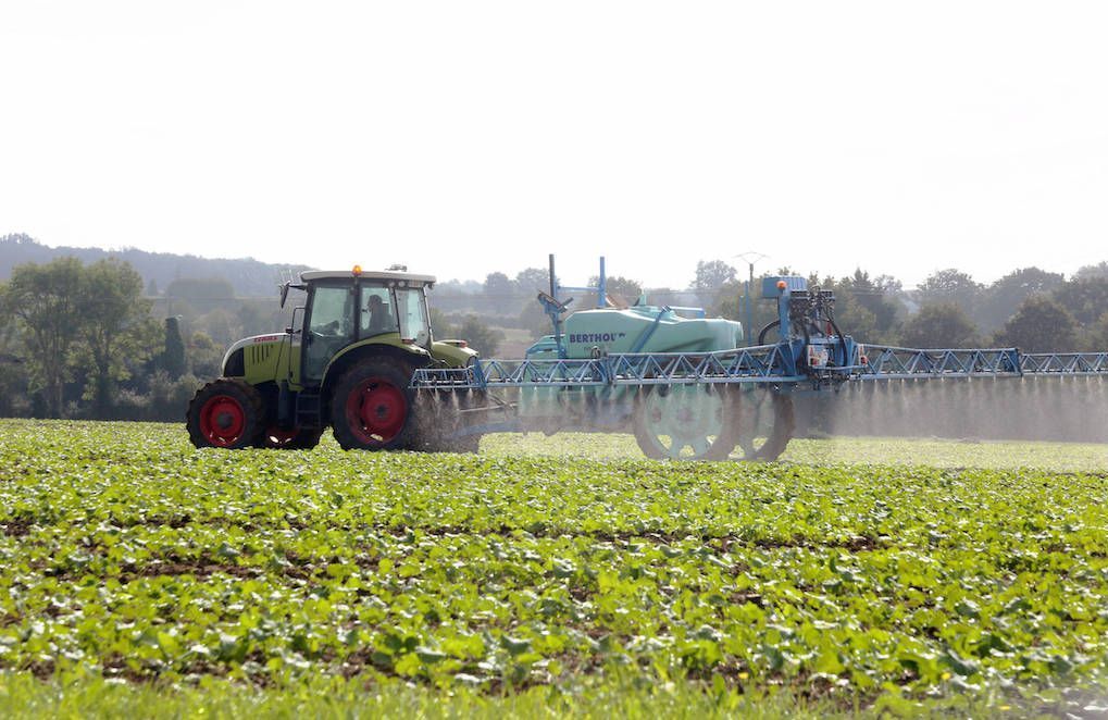 La Commission européenne renouvelle son feu vert à l’usage du glyphosate pour dix ans