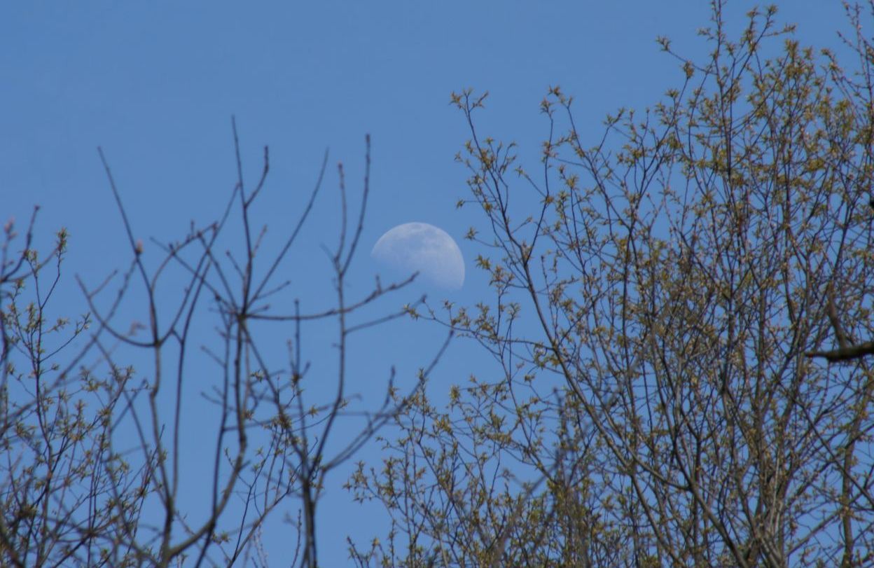 Jardiner avec la lune en décembre 2023