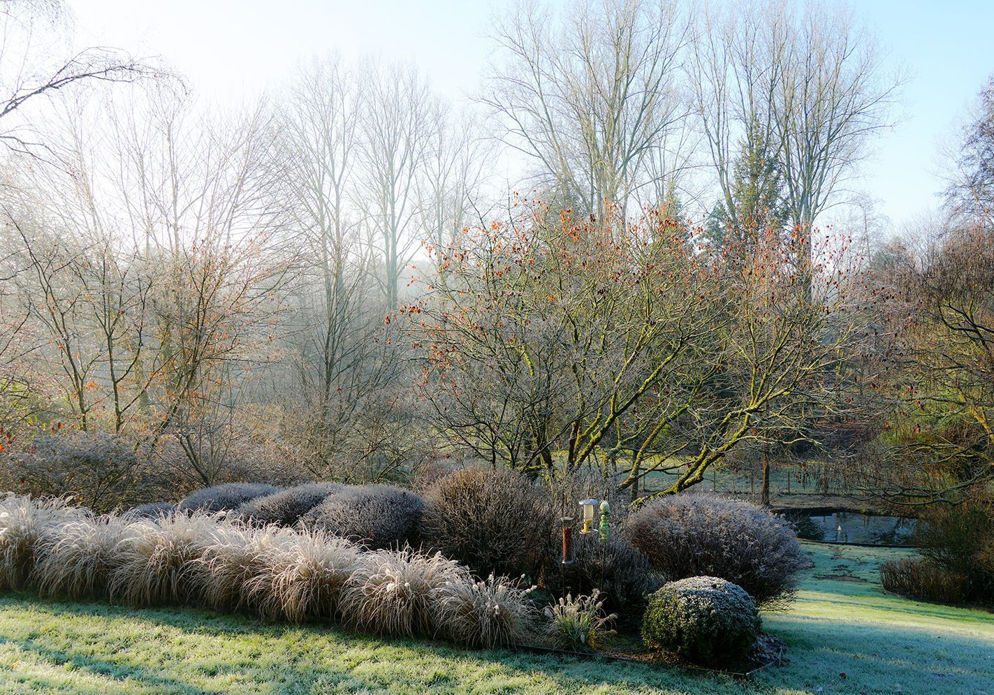 Que faire au jardin en janvier ?