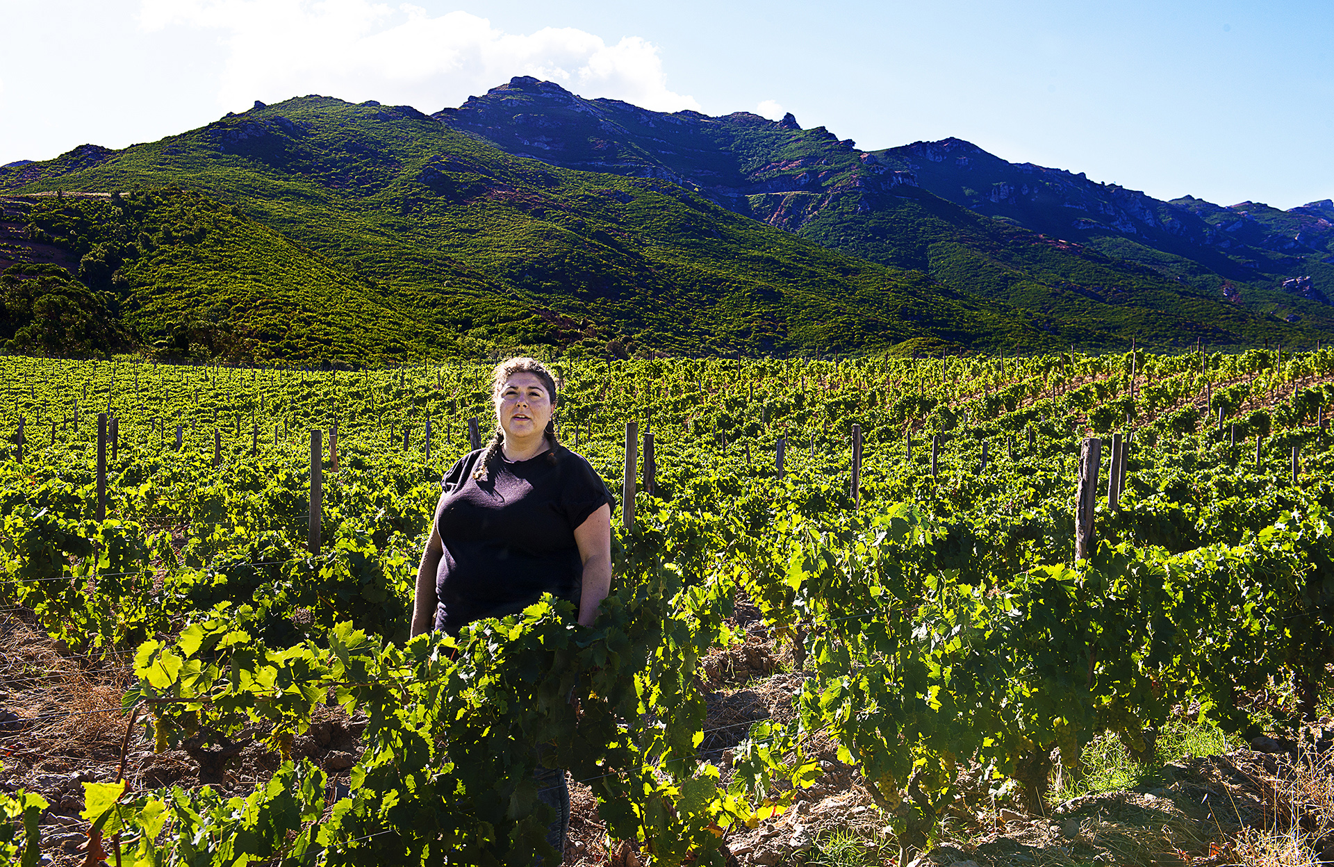 Elles font le vin : Marie-Françoise Devichi, lauréate du Prix des Artisanes